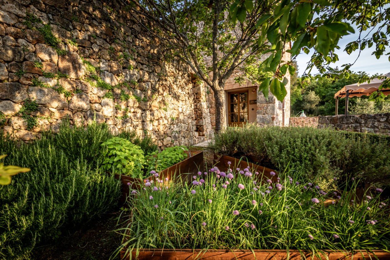 L'orto botanico